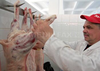 După puiul vopsit intră în scenă mielul-cățel. DSVSA Bihor spune că se faceți să nu cumpărați carne de cățel în loc de miel