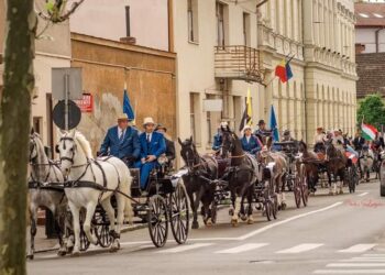 Exemplare superbe, campioni internaționali la parada atelajelor de 2 și 4 cai din centru Oradiei. E preambulul Concursului Internațional de Atelaje Oșorhei