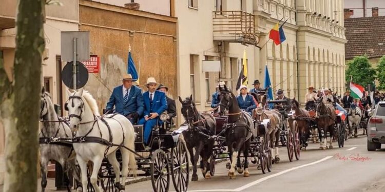 Exemplare superbe, campioni internaționali la parada atelajelor de 2 și 4 cai din centru Oradiei. E preambulul Concursului Internațional de Atelaje Oșorhei