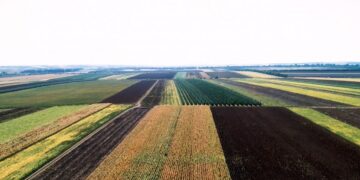 Stabilirea duratei contractului de arendare la minimum șapte ani