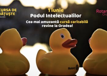 Rotaract Oradea organizează cea mai amuzantă cursă caritabilă a anului: “Cursa Rățuștelor”.