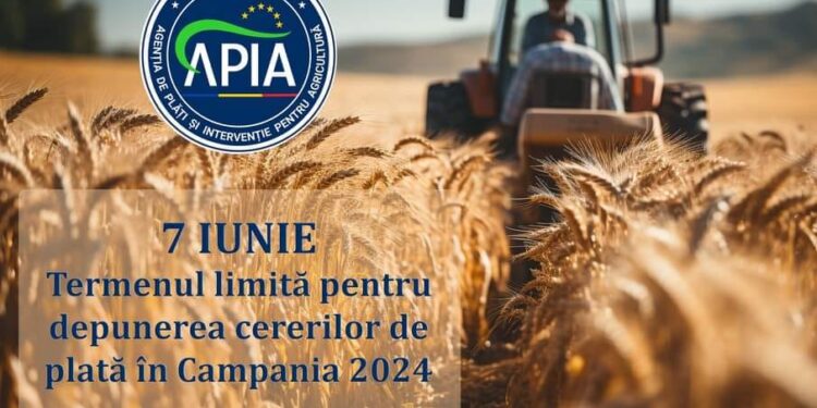 7 iunie- termenul limită pentru depunerea cererii de plată în Campania 2024. În 1 și 02 iunie 2024, centrele județene/locale  APIA au program de lucru normal