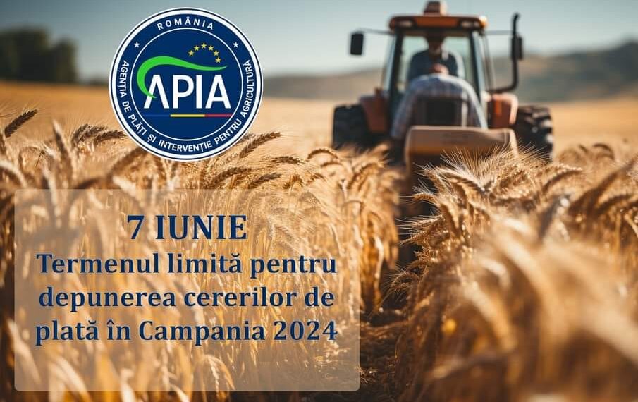 7 iunie- termenul limită pentru depunerea cererii de plată în Campania 2024. În 1 și 02 iunie 2024, centrele județene/locale APIA au program de lucru normal