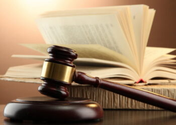 Recunoașterea unor drepturi proprii copilului minor sau copilului născut în timpul strămutării