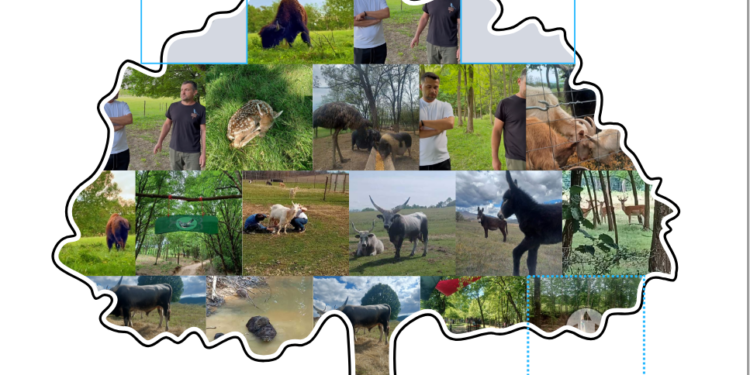 Florin Cuc a creat la Tărcaia un paradis. Cu mâinile lui și făcând troc. 130 de animale trăiesc libere în Plaiul Cucului pe 8 ha