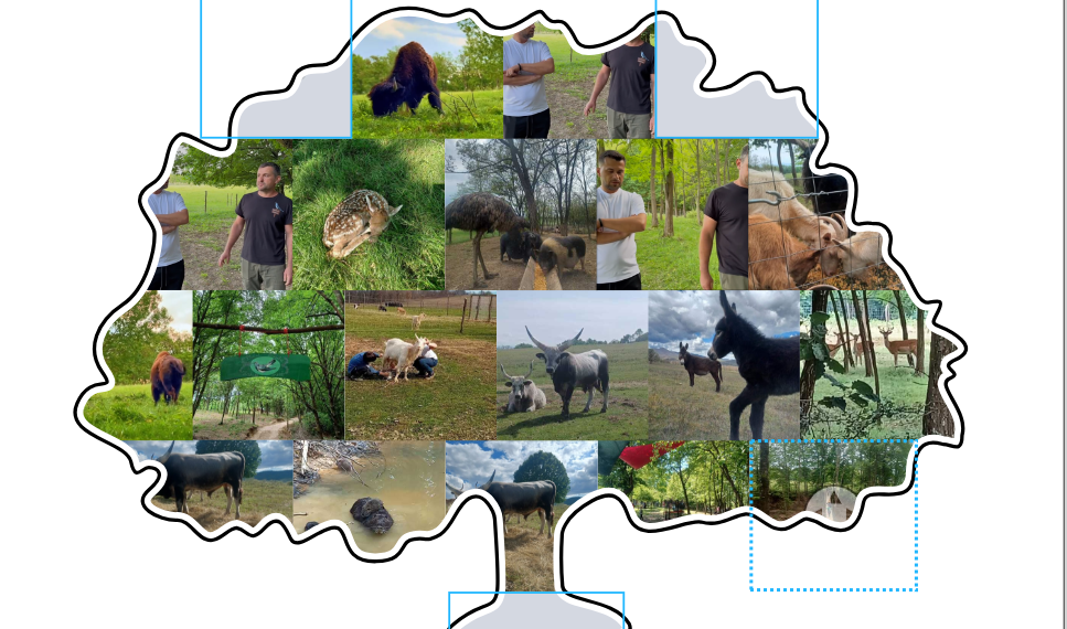 Florin Cuc a creat la Tărcaia un paradis. Cu mâinile lui și făcând troc. 130 de animale trăiesc libere în Plaiul Cucului pe 8 ha