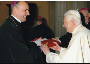 Episcopii romano-catolici și greco-catolici din întreaga țară se întâlnesc la Oradea. Episcopul Bercea, mărturie despre cea mai fericită zi din viață: „Eram inginer şi preot, sfinţit în clandestinitate, deja de 9 ani. Preasfinţitul Alexandru i-a spus aceste lucruri Sfântului Părinte, Papa m-a bătut pe umăr…„