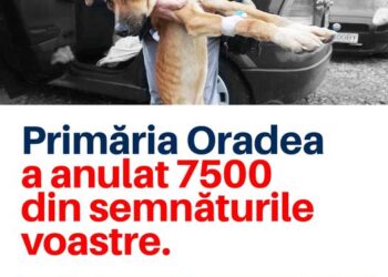 Primăria Oradea a invalidat 7500 de semnături pentru Misiunea Grivei. Silviu Dehelean :În tot acest timp cățeii din adăpost mor. Reluăm campania, nu ne lăsăm