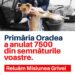 Primăria Oradea a invalidat 7500 de semnături pentru Misiunea Grivei. Silviu Dehelean :În tot acest timp cățeii din adăpost mor. Reluăm campania, nu ne lăsăm