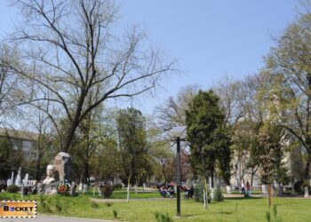 Un tânăr, fost boxer, șantaja un adolescent din Beiuș să-i de bani să joace la păcănele. Flagrant în parc