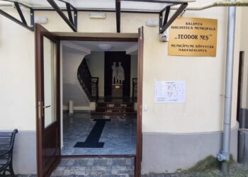 Biblioteci pentru nevăzători.Marcaj tactil pentru nevăzători și inscripții în limbajul Braille pe pereți, la Salonta