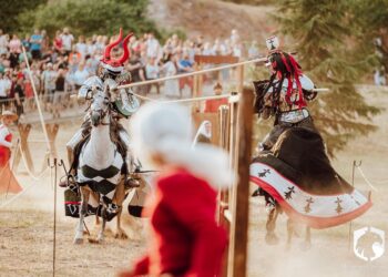 TAP-fight, în premieră, demonstrații cu păsări de pradă, artiști levitatori, pictură pe scuturi, primii cavaleri români care participă la un turnir internațional la Festivalul Medieval din Cetatea Oradea