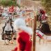 TAP-fight, în premieră, demonstrații cu păsări de pradă, artiști levitatori, pictură pe scuturi, primii cavaleri români care participă la un turnir internațional la Festivalul Medieval din Cetatea Oradea