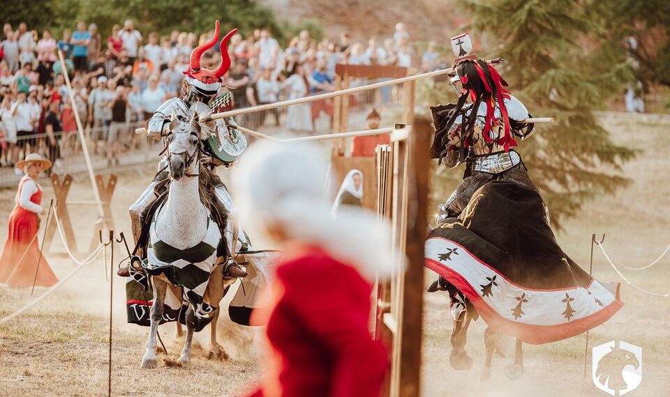 TAP-fight, în premieră, demonstrații cu păsări de pradă, artiști levitatori, pictură pe scuturi, primii cavaleri români care participă la un turnir internațional la Festivalul Medieval din Cetatea Oradea