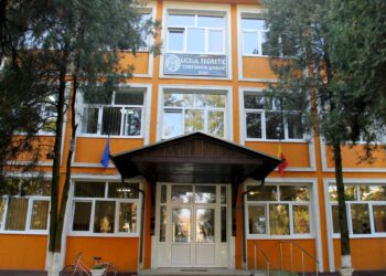 Elevii Liceului Teoretic Constantin Șerban, Aleşd la „World Largest Lesson”