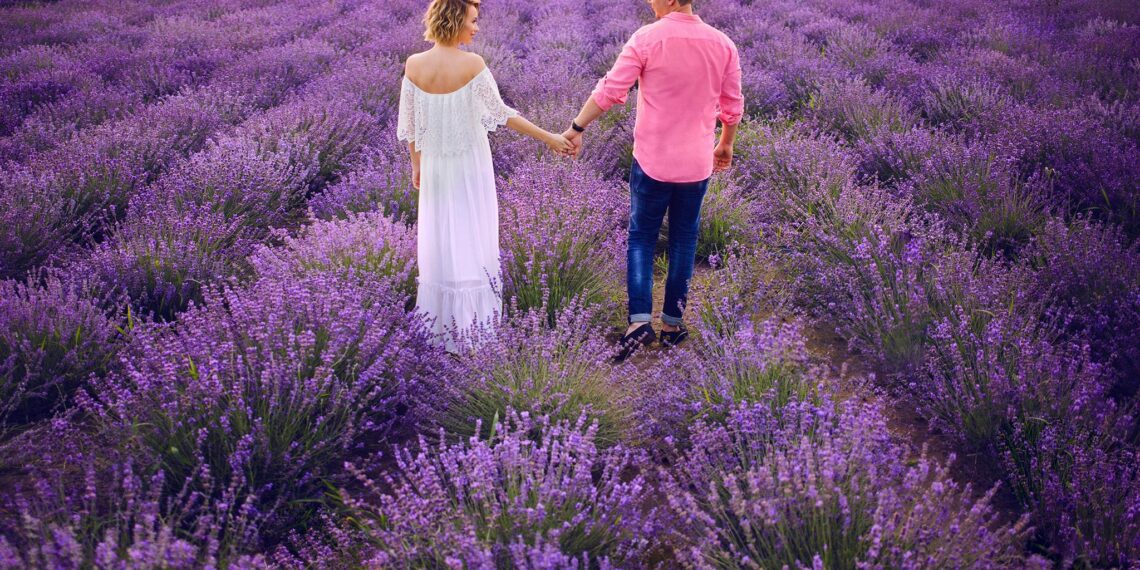 Au adus câmpurile de lavandă din Provence la Santăul Mic. Începe Festivalul lavandei