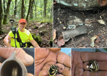 Descoperire extraordinară în zona Măgești:un topor din epoca bronzului, vechi de 3000 de ani, plin cu aur pur