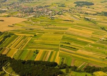 Neconstituționalitate asupra modificărilor legii fondului funciar: este afectat regimul constituțional al proprietății private