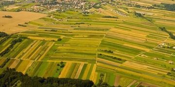 Neconstituționalitate asupra modificărilor legii fondului funciar: este afectat regimul constituțional al proprietății private