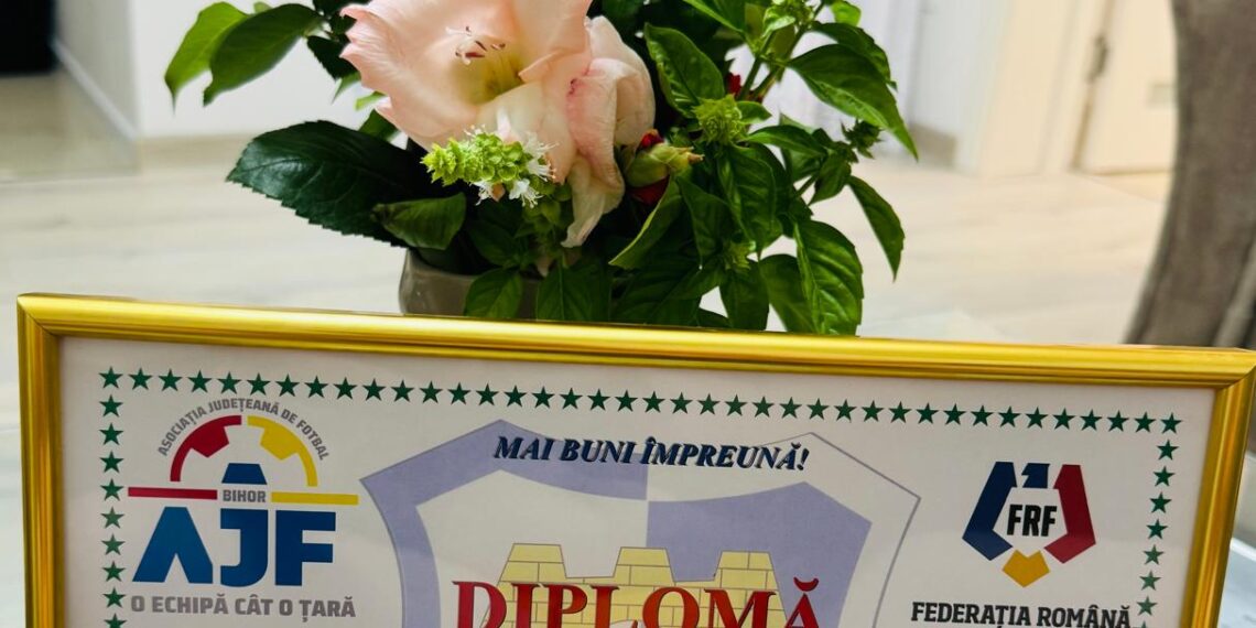 O nouă distincție pentru Clubul Sportiv Oșorhei