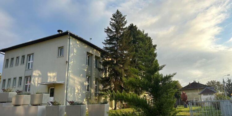 Nevoie urgentă de sânge în Bihor