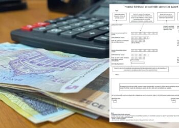 Valabilitatea tichetelor pentru activități casnice a fost stabilită