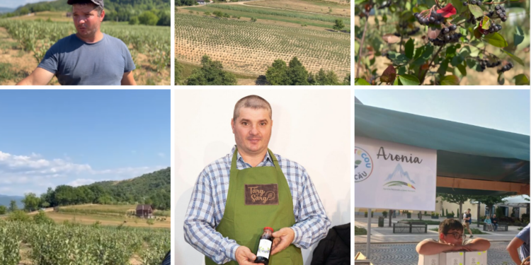 Coanul care și-a investit toți banii câștigați în Spania și Italia în plantația de Aronia de la Vascău. Puteți merge la clacă la Ioan Ichim