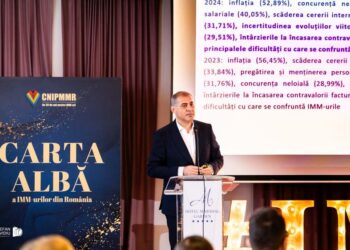 VIDEO. IMM-urile solicită digitalizarea prin integrare instituțională într-un singur sistem informatic și asigurarea unei stabilități fiscale pe 10 ani