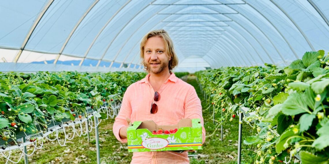 Beiușeanul Dumitru Gal ar putea deveni cel mai important furnizor de fructe de pădure din Europa. Pregătește deschiderea unei fabrici de dulceață și sucuri proaspete și naturale