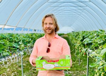 Beiușeanul Dumitru Gal ar putea deveni cel mai important furnizor de fructe de pădure din Europa. Pregătește  deschiderea unei fabrici de dulceață și sucuri proaspete și naturale