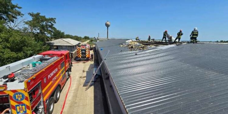 Incendiu la o fermă cu peste 12.000 de păsări