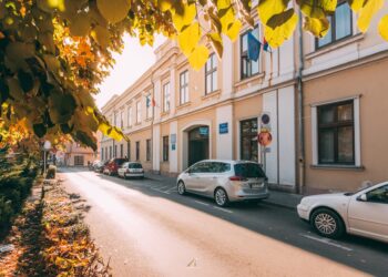 Firma fostului prefect Gavrilă Ghilea va renova Palatul Administrativ cu 11 milioane de lei