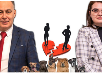 Avocatul Cristian Rusu:Precedentul creat anul trecut de cabinetul nostru dă roade în practica judiciară – încredințarea animalelor de companie către soții aflați în proces de divorț este statuată prin pronunțarea mai multor hotărâri judecătorești