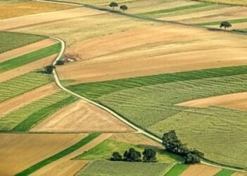 Una dintre cele mai mari tranzacții de terenuri la Ciumeghiu. Peste 41 ha de teren cumpărate de omul de afaceri italian Santi Mauro pentru 2,3 milioane lei