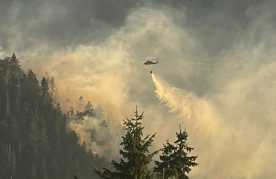 Misiune dificilă.De 24 de ore arde pădurea dintre Budureasa şi Stâna de Vale