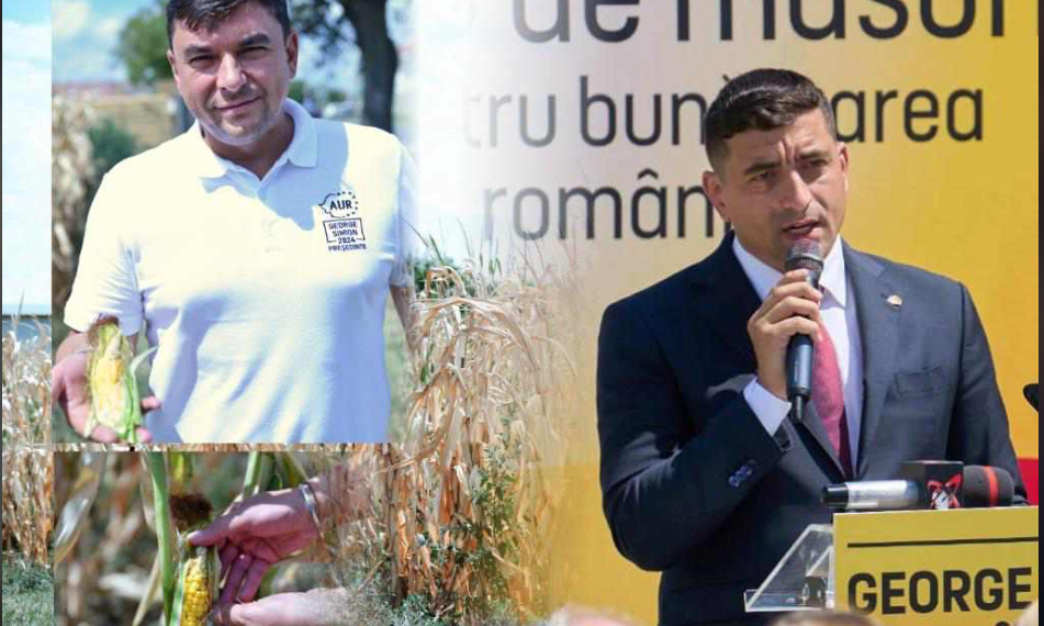 Ciprian Blejan, vicepreşedinte AUR Bihor, despre Planul Simion pentru Gospodăriile Țărănești: „E Cod roşu în Agricultură. Trebuie să asigurăm suveranitatea alimentară a românilor”