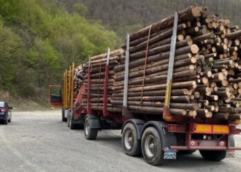 Transportul de materiale lemnoase va fi analizat de inteligența artificială