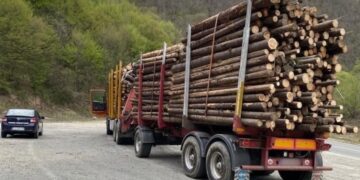 Transportul de materiale lemnoase va fi analizat de inteligența artificială