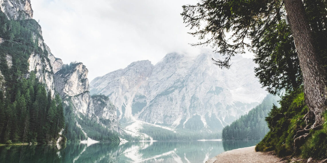 11,6 milioane pentru investiții la Baița SA. Banii, din fondul de rezervă ai Guvernului