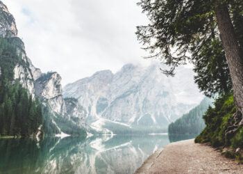 11,6 milioane pentru investiții la Baița SA. Banii, din fondul de rezervă ai Guvernului