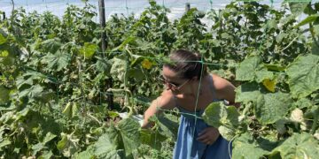 Bihorenii vor putea  achiziţiona legume sau alte produse rapid, de la cea mai apropiată fermă, căutând pe harta interactivă