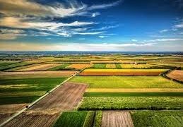 6 UAT-uri din Bihor cadastrate gratuit și în alte 17 se lucrează | Peste 7 milioane de cărți funciare au fost eliberate gratuit de ANCPI și peste 5,8 milioane de hectare înregistrate