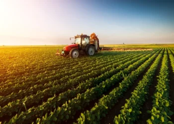 Standardele privind utilizarea terenurilor arabile de către fermieri se modifică