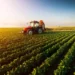 Standardele privind utilizarea terenurilor arabile de către fermieri se modifică
