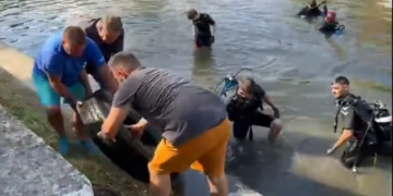 Scafandri din clubul unde practică scufundări vip-urile orașului, acțiune voluntară de ecologizare a Crișului Repede