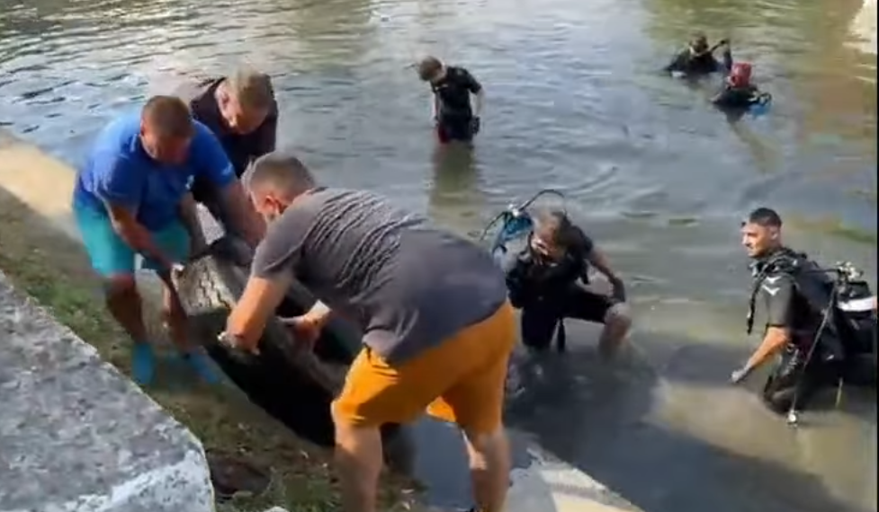 Scafandri din clubul unde practică scufundări vip-urile orașului, acțiune voluntară de ecologizare a Crișului Repede