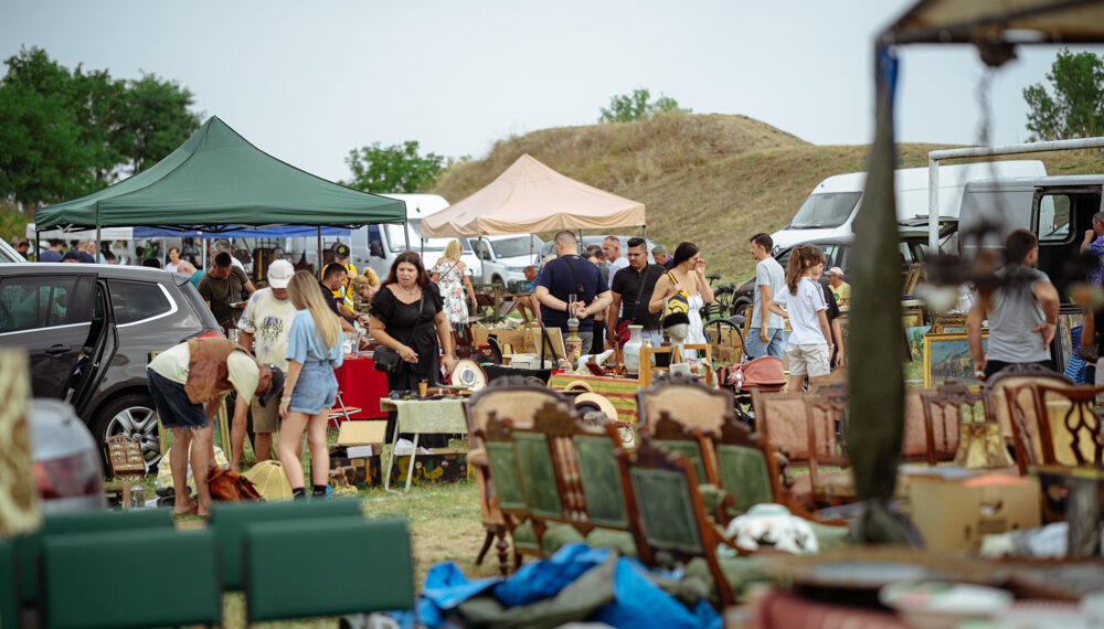 Video/ Galerie. Ce comori mai poți  găsi la târgul de antichități din Biharia