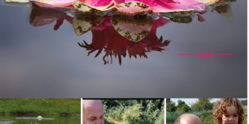 Galerie. Imagini de senzație. Au investit banii câștigați în Spania în singurul lac de acest fel din țară, la Finiș. Acolo a înflorit Rgina Nuferilor : Victoria Amazonica