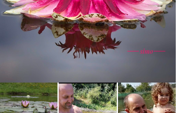 Galerie. Imagini de senzație. Au investit banii câștigați în Spania în singurul lac de acest fel din țară, la Finiș. Acolo a înflorit Rgina Nuferilor : Victoria Amazonica
