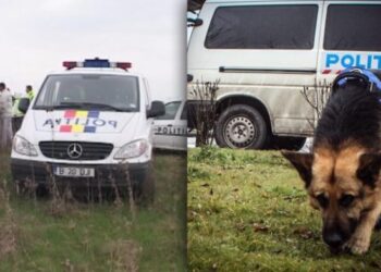 Căutat cu câinele de urmă și cu drone. Se ia în calcul o posibilă crimă